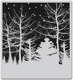 Hero Arts Cling Stamp - Snowy Winter Nights