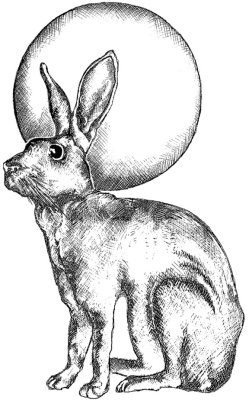 Crafty Individuals Unmounted Rubber Stamps - Hare and Moon