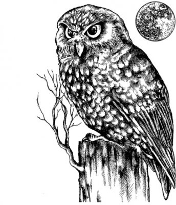 Crafty Individuals Unmounted Rubber Stamp - Owl and Moon