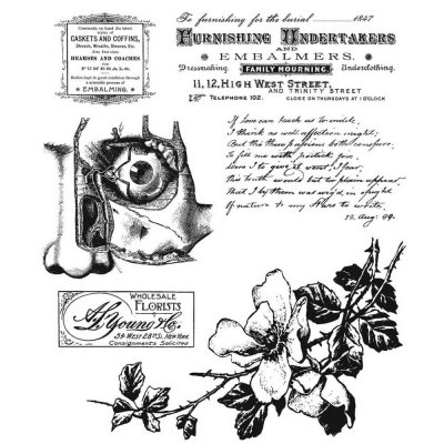 Tim Holtz Stampers Anonymous - Dearly Departed