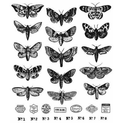 Tim Holtz Stampers Anonymous - Moth Study