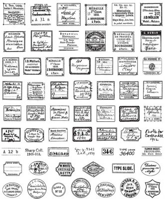 Tim Holtz Stampers Anonymous Cling Stamps - Curator