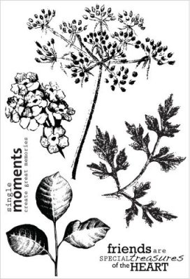 Kaisercraft Botanica Clear Stamp Set