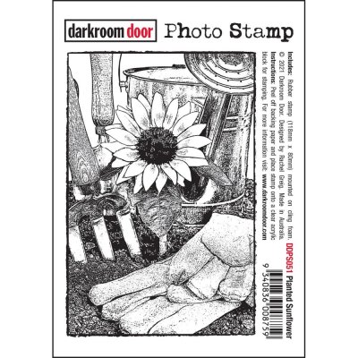 Darkroom Door 4.6"x3.2" Photo Cling Stamp - Planted Sunflower