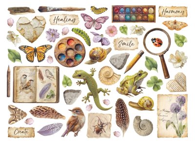 Stamperia Assorted Die Cuts - All Around