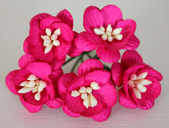 5st Cherry Blossom Fushia Pink 2cm