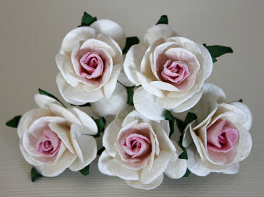 5st Mulberry Roses ca 25mm WHITE WITH PINK