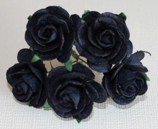 Mulberry Roses