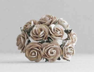 10st Paper Roses ca 15mm Light Mocha