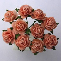 10st Small Paper Roses peach ca 1cm