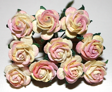 10st Paper Roses ca 15mm cream pink