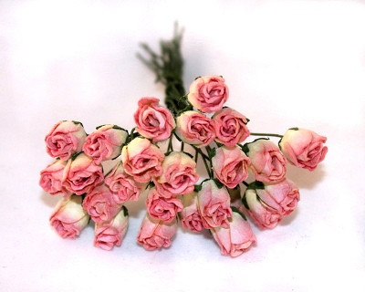 25st  Rose Buds ca 12mm - Ivory/Pink