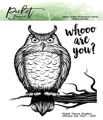 Picket Fence Studios 4”x4” Clear Stamps - Whooo are You?
