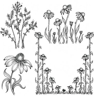 Heartfelt Creations - Garden's Edge Coneflower Pre-Cut Cling Mounted Stamp Set (4 stamps)
