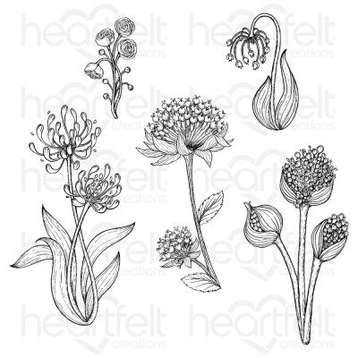 Heartfelt Creations Cling Rubber Stamp Set - Daydream Florals