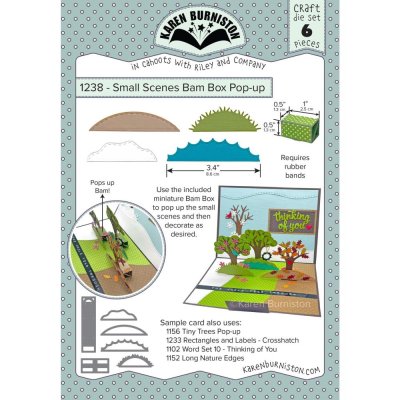 Karen Burniston Dies - Small Scenes Bam Box Pop-up