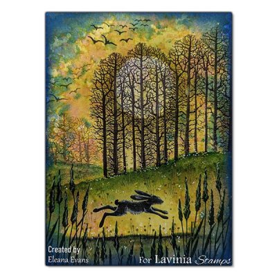 Lavinia Stamps Clear Stamps - Birds