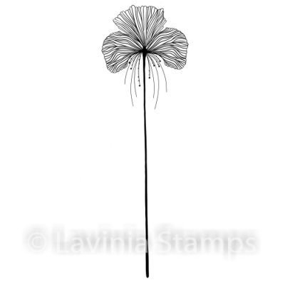 Lavinia Stamps Clear Stamps - Single Fairy Orchid