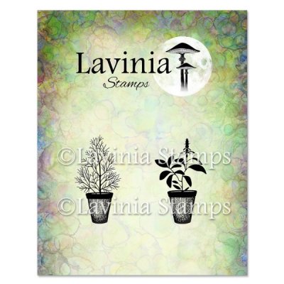 Lavinia Stamps Clear Stamps - Dill & Sage Pots