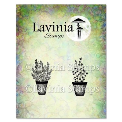 Lavinia Stamps Clear Stamps - Rosemary & Thyme Pots