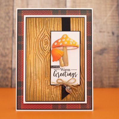 Crafter's Companion 3D Embossing Folder - Thankful & Blessed Wood Bark