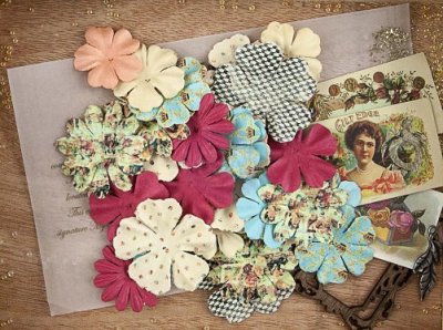 Prima Flowers - Cigar Box Secrets Aficionado