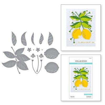 Spellbinders Lemon Zest Etched Dies (8 dies)
