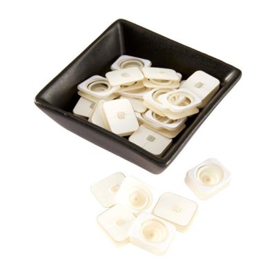 Spellbinders Giggle Springs (10 Pack)