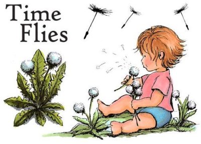A Little Bit Sketchy Stamp Set - Time Flies by Sheena Douglass