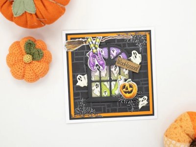 Crafter's Companion 2D Embossing Folders - Through the Window Stone Wall
