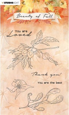 Studio Light A6 Clear Stamp Set - Beauty of Fall nr.64