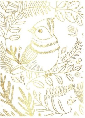 Spectrum Noir Colorista 5”x7” Pencil Pad - Natural Beauty