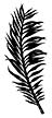 Stampscapes Stamp - Frond #2