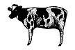 Stampscapes Stamp - Cow