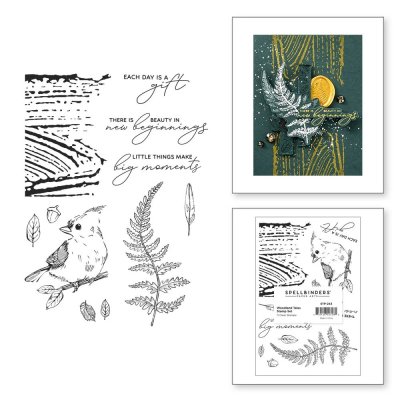 Spellbinders Clear Stamp Set - Woodland Tales Sentiments