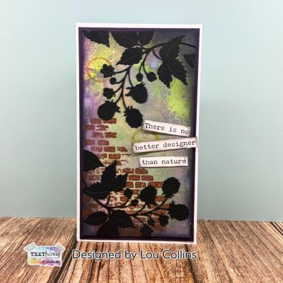 Arden Creative Studio Craft Die Set - Beneath the Brambles Document & Discover Vol.II