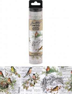 Tim Holtz Idea-Ology Collage Paper - Aviary (6