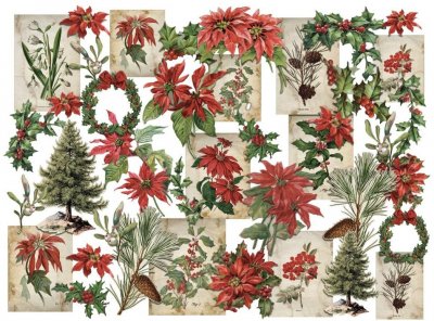 Tim Holtz Idea-Ology Layers - Christmas Botanicals (40 pack)