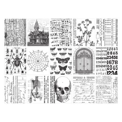 Tim Holtz Idea-ology - Collage Paper Halloween