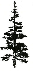 Art Impressions Cling Rubber Stamp - Large Mountain Fir