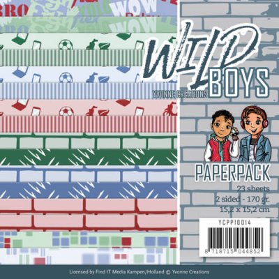 Yvonne Creations 6”x6” Paperpack - Wild Boys (24 sheets)